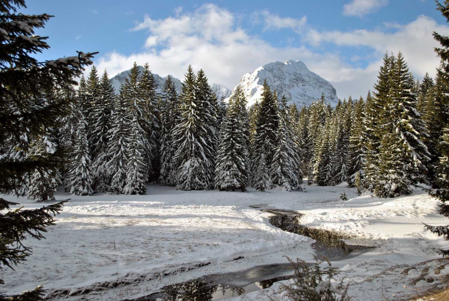 winter scene zabljak montenegro Photo by konikaori from FreeImages