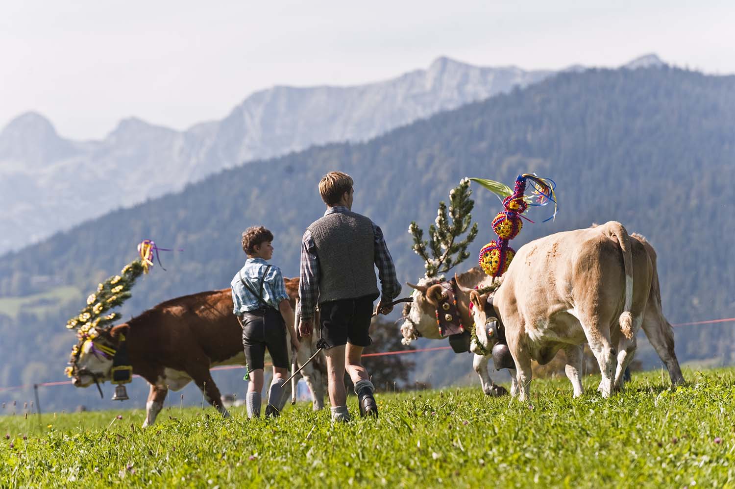 5 Berchtesgadener Land Berchtesgadener Land Almabtrieb am Königsee copy