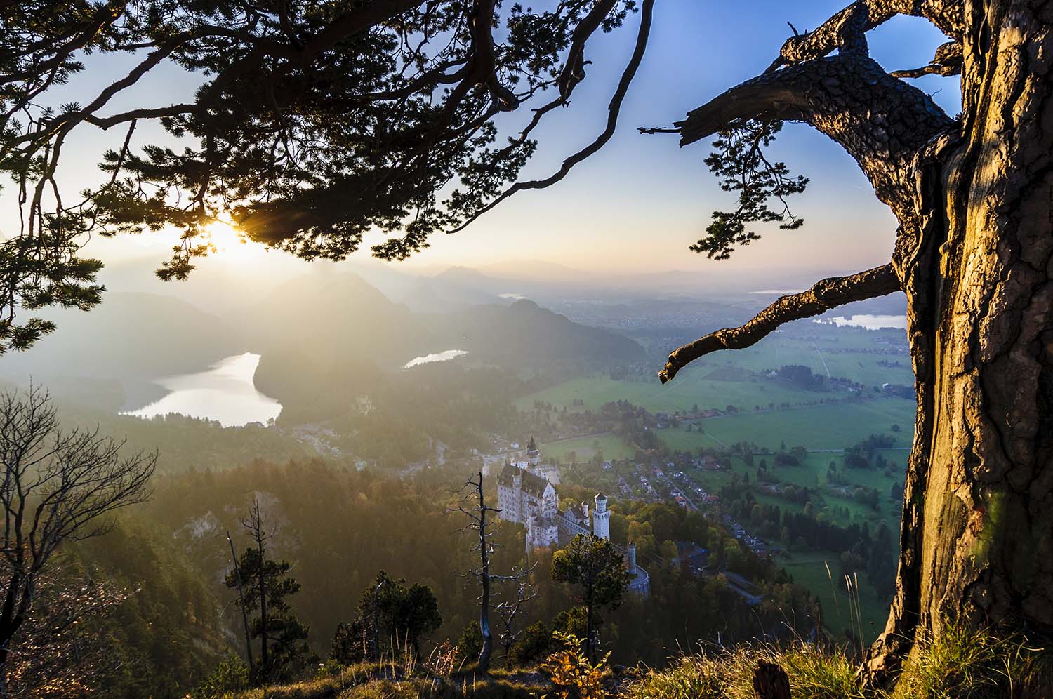 8 Schwangau Schloss Neuschwanstein 