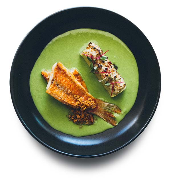 Red Mullet Barbun copy copy
