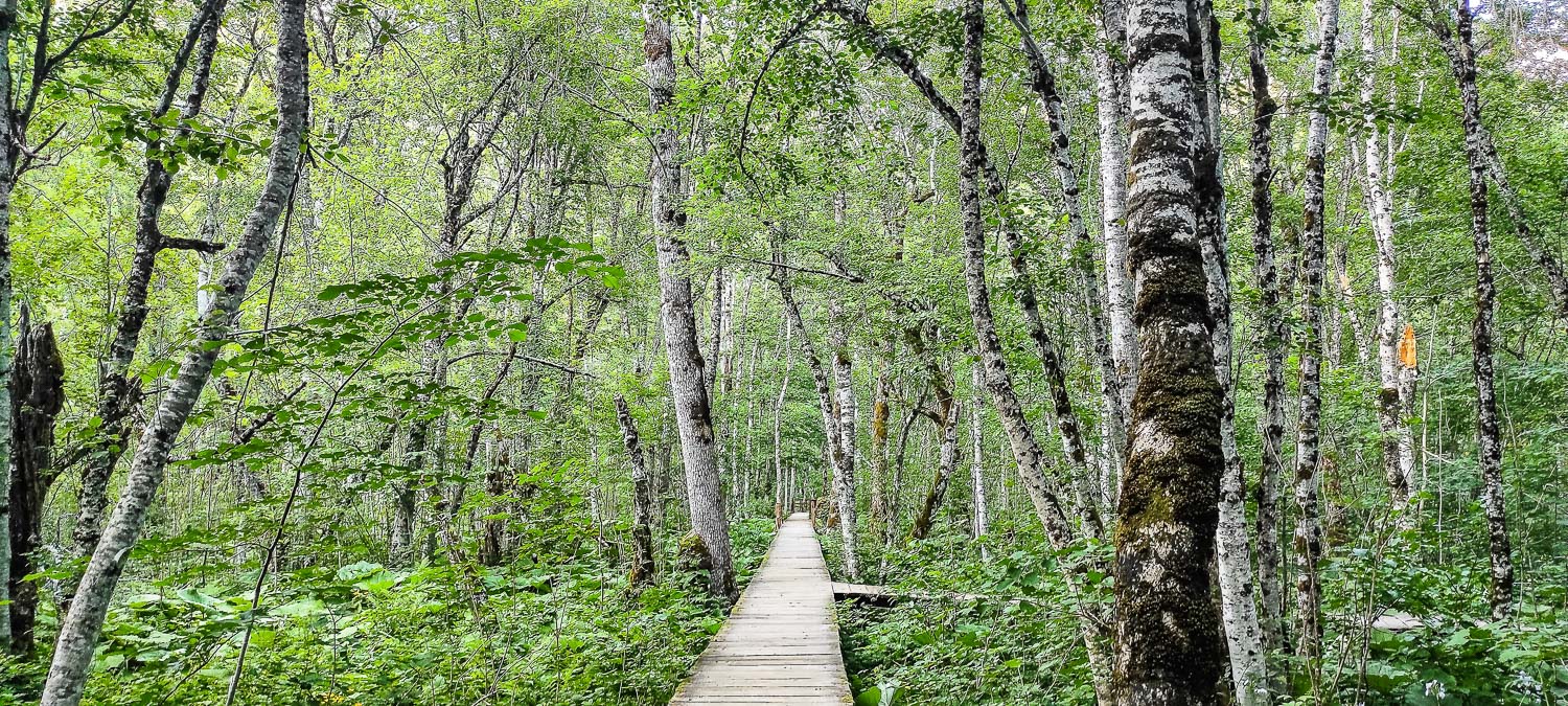 BIOGRADSKA GORA