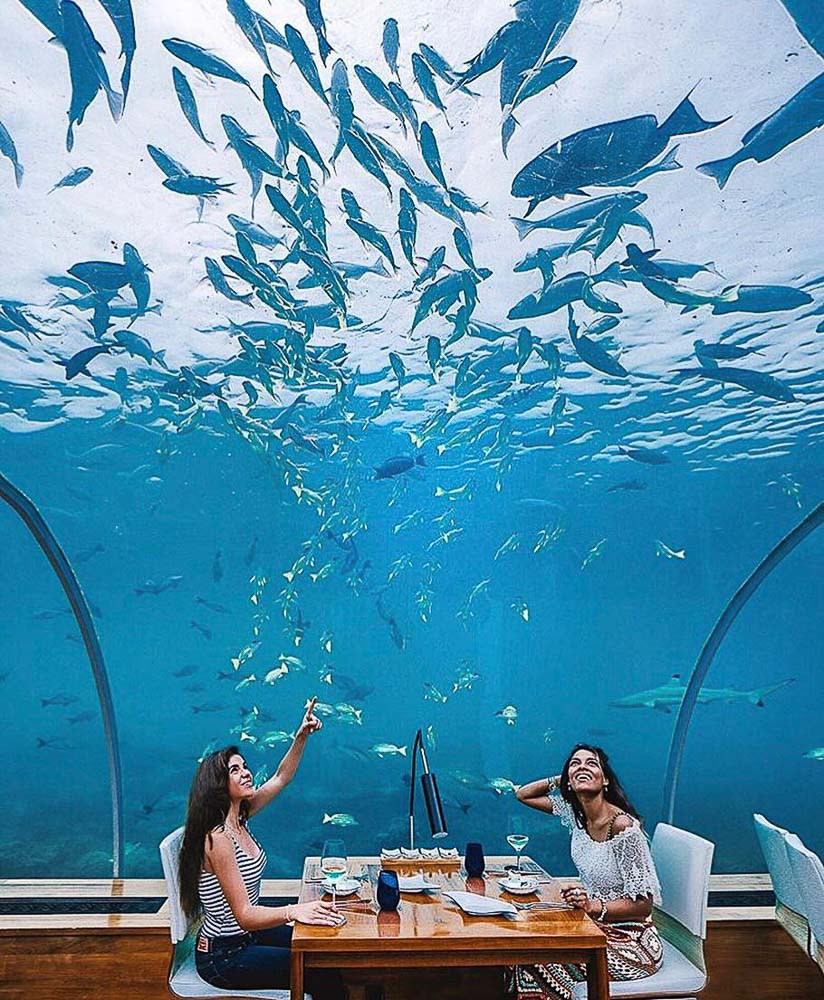 Ithaa Restaurant Alif Dhaal Atoll 218255 2 worlds first undersea restaurant ithaa undersea 960w