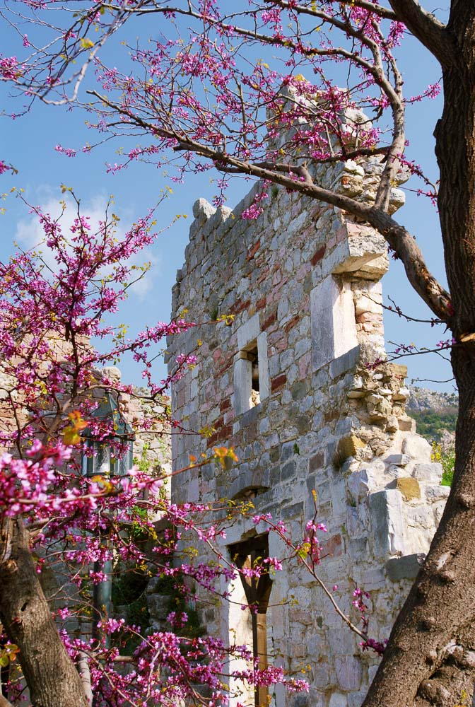 stari bar 0704 17