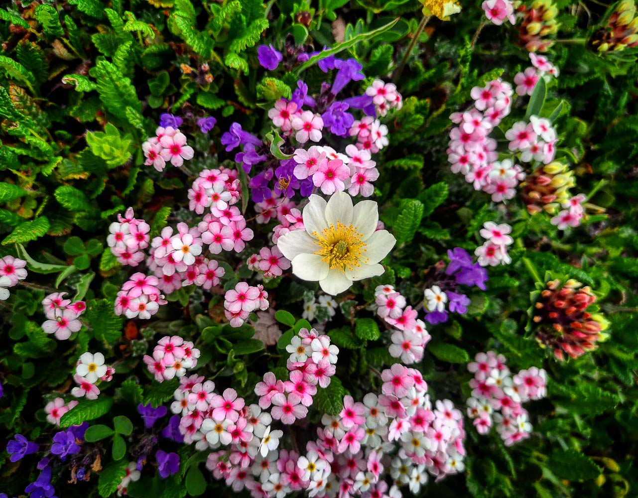 IMG 20190618 170803 505