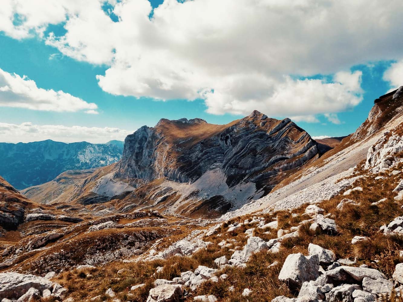 Prutas NP Durmitor 6 copy copy