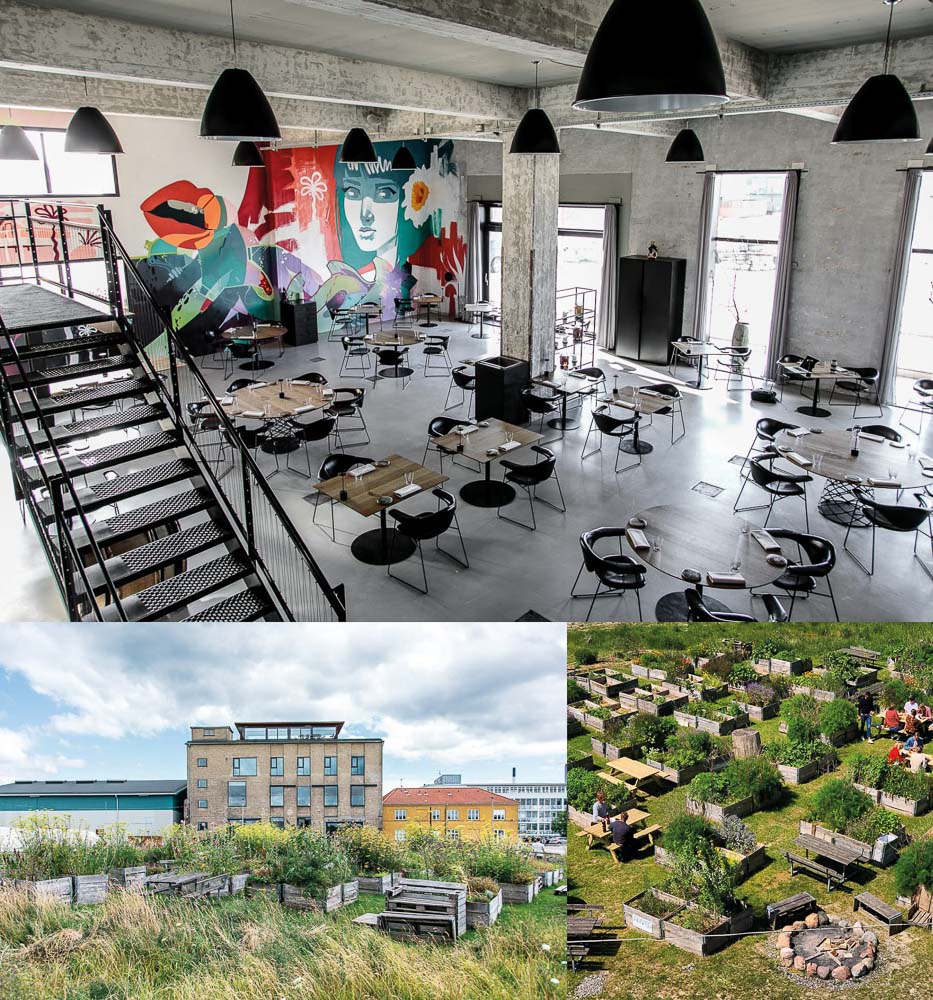 amas kopenhagen1
