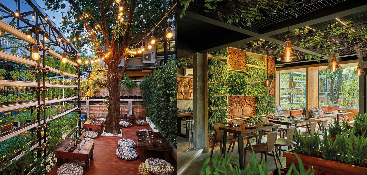 haoma bangkok