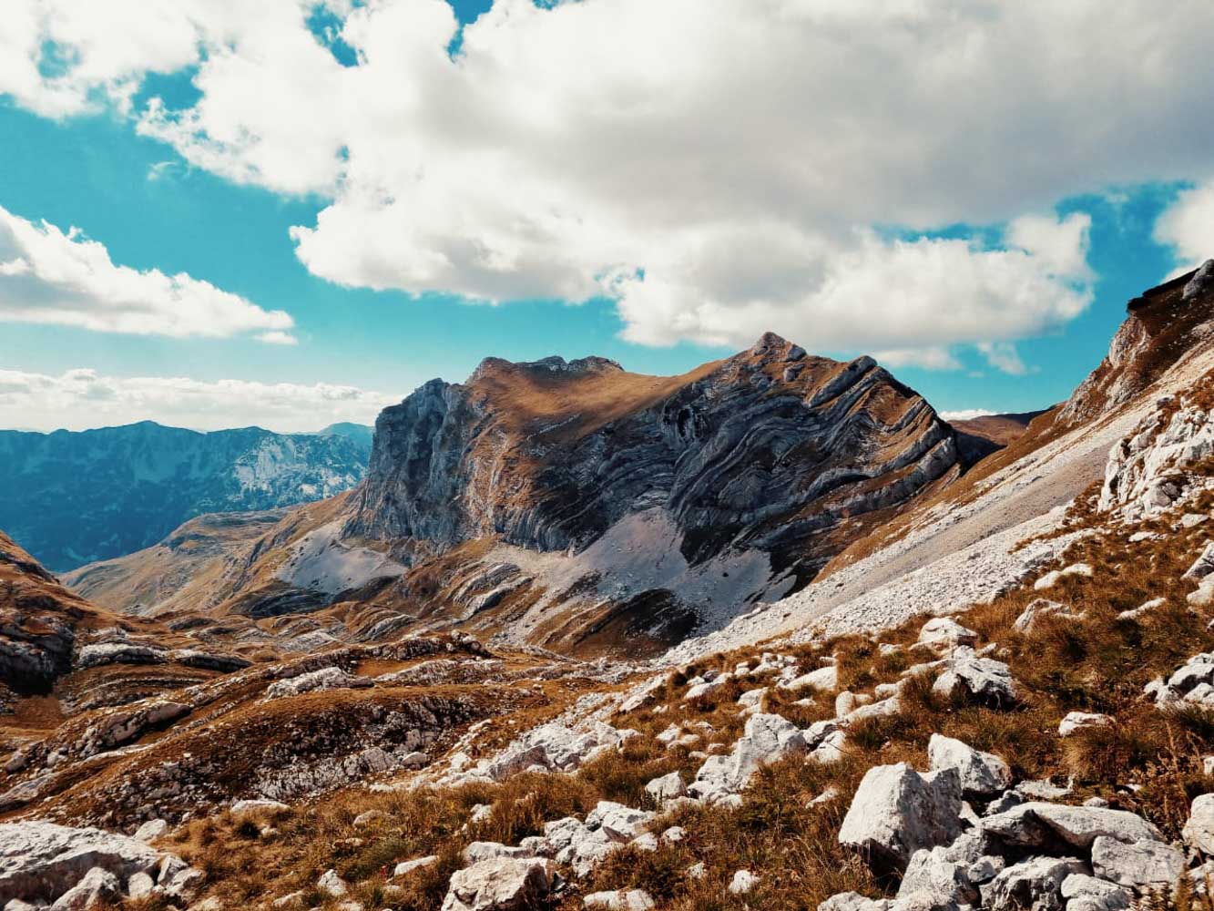Prutas NP Durmitor 6 copy