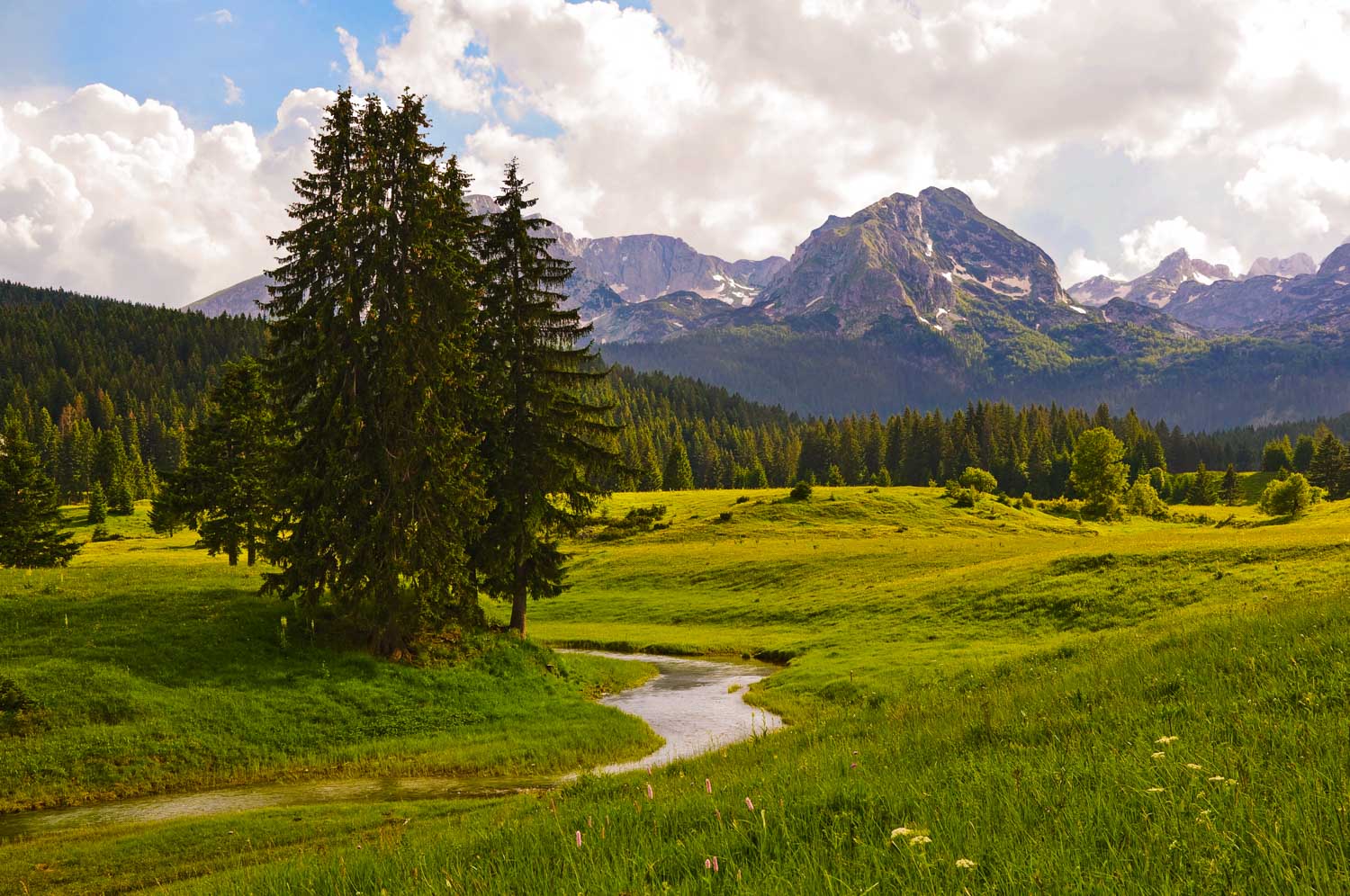 ruralni durmitor pixabay