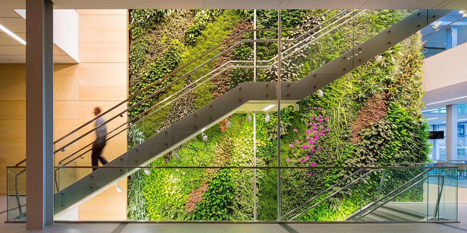 living wall rutgers university