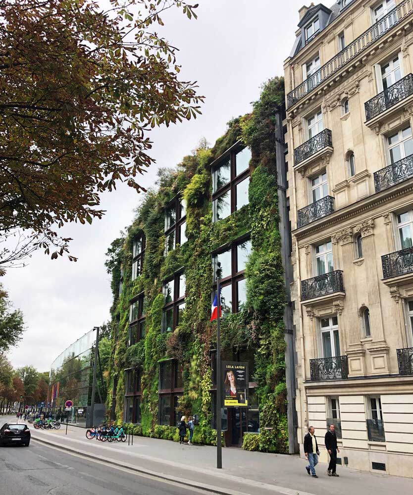 pariz theverticalgardenbypatrickblancatthequaibranlyjacqueschiracmuseumparissept2022