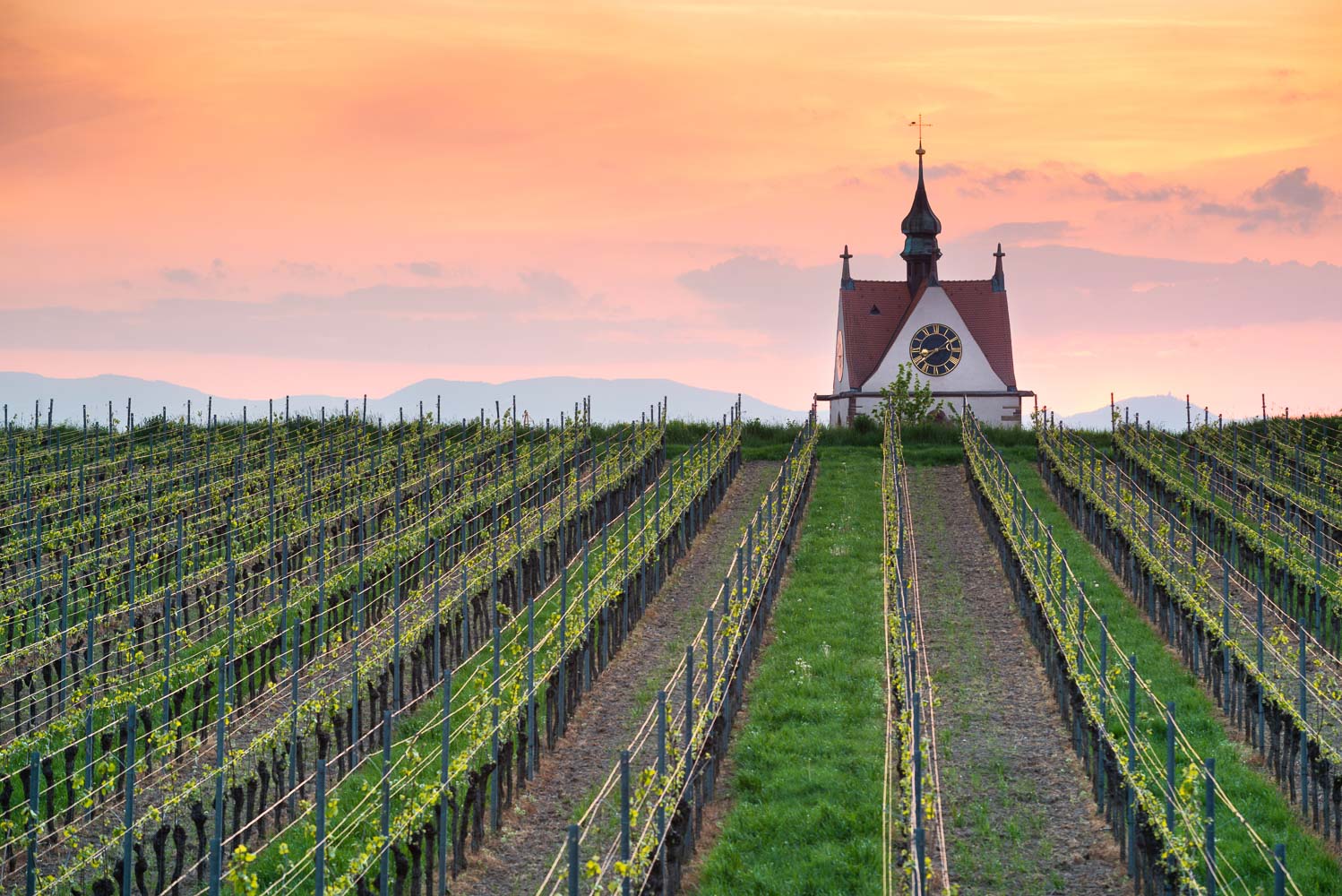 vino Baden Württemberg Kaiserstuhl Kirche im Abendrot auf einem Weinberg