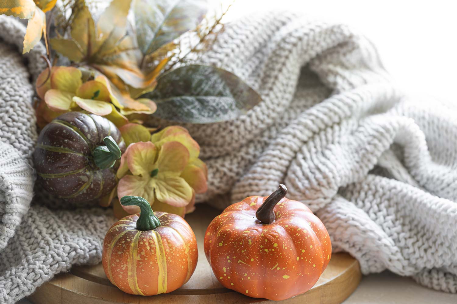 autumn still life with pumpkins leaves knitted element