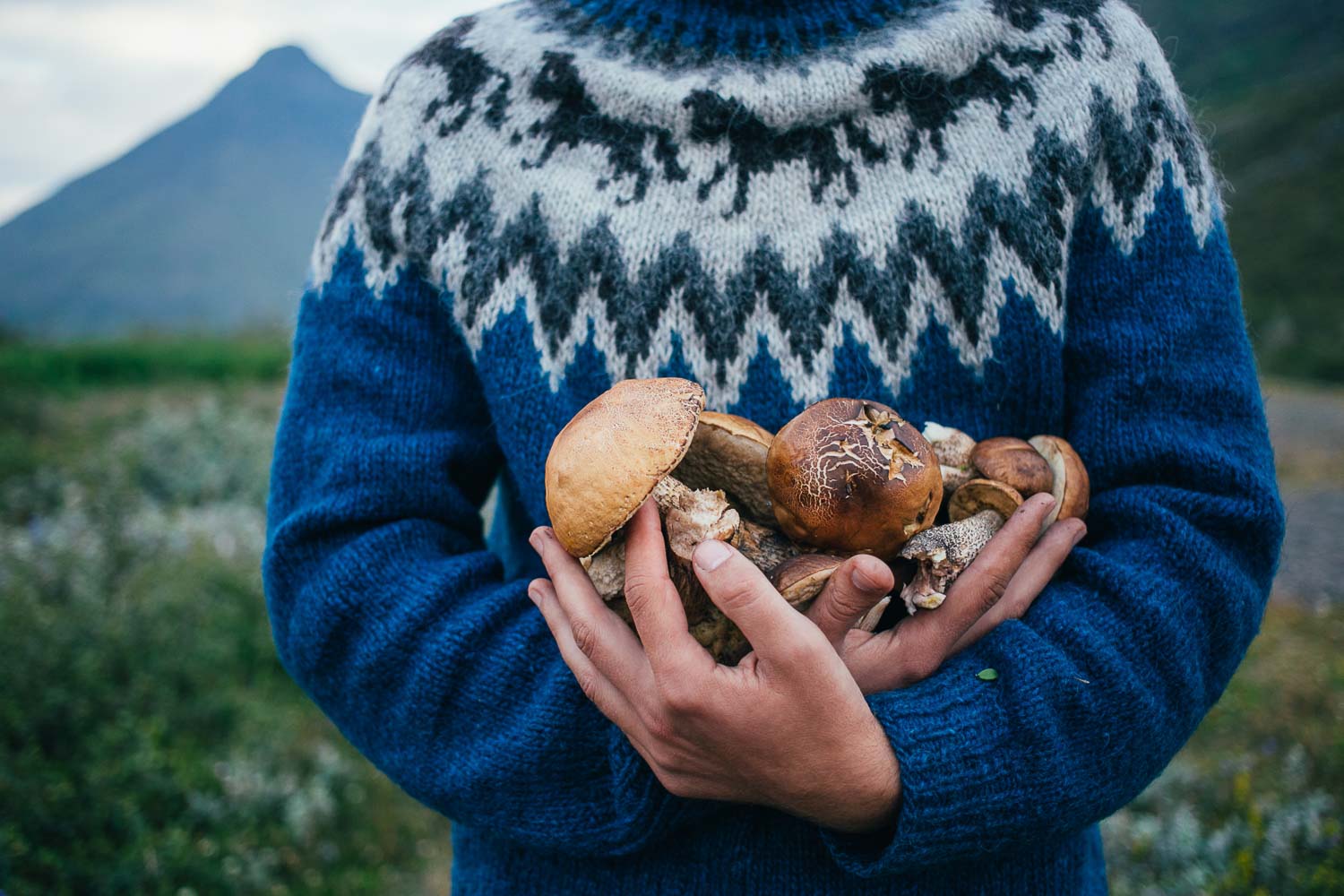 happy proud picker man traditional blue wool sweater with ornaments stands camping ground mountains holds arms pile delicious organic mushrooms