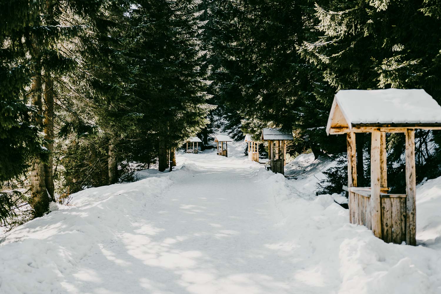 zabljak Depositphotos 398175382 XL